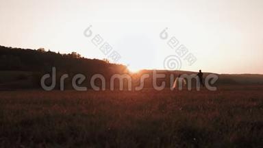 男人和女人在夕阳下穿过田野。 恋人们在阳光下携手在草地上。 慢动作